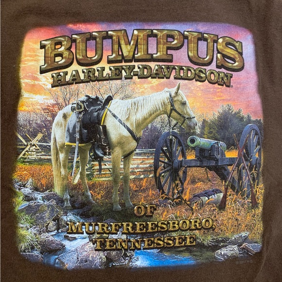 Harley Davidson Dual Graphic Country Themed - Picture 4 of 6